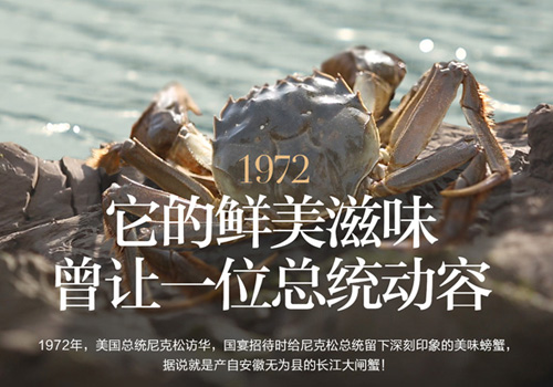 蟹状元无为长江大闸蟹