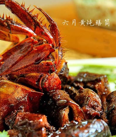 六月黄炖鳝筒