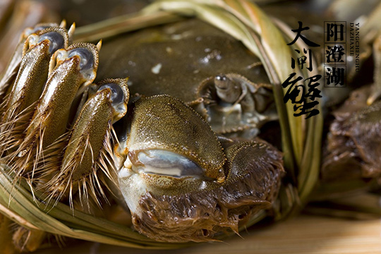 yangchenghudazhaxie
