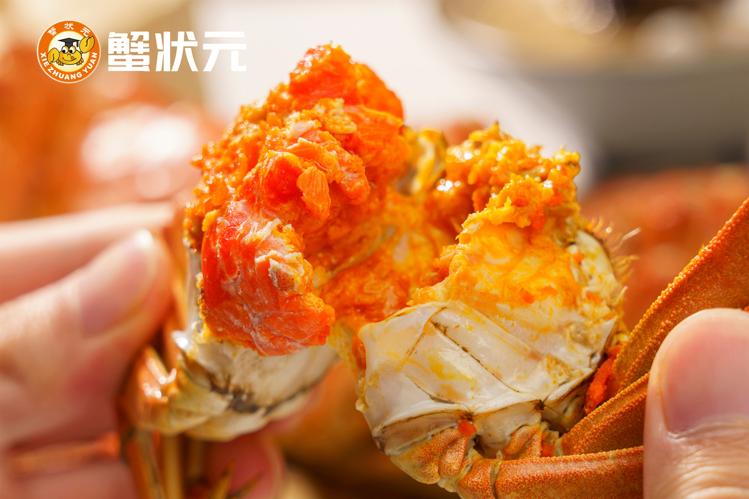 蟹黄蟹膏的生物学真相:你吃的到底是什么?