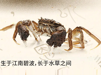 蟹状元 | 今年秋天，我“蟹”榜题名，踏入江湖！