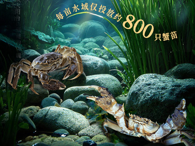 大闸蟹的“精英养成计划”(上)