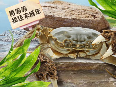 好蟹的底色，是时间的沉淀