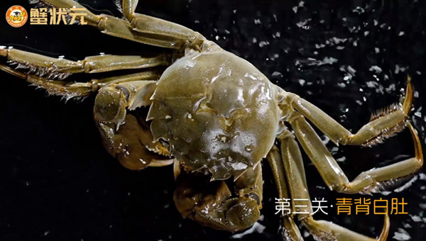 七道关·好蟹:膏肥黄满从来不是运气,而是层层筛选后的必然