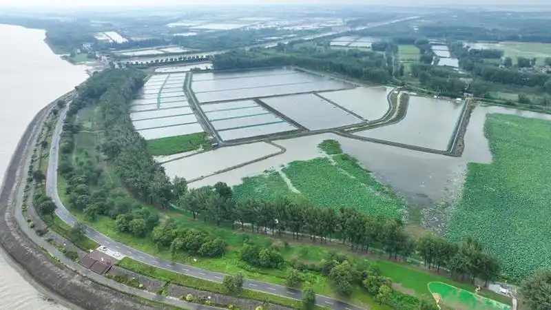 蒋坝镇头河村螺蛳产业示范基地 蒋坝镇头河村螺蛳产业示范基地