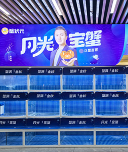 蟹状元福田大闸蟹蟹缸2025617