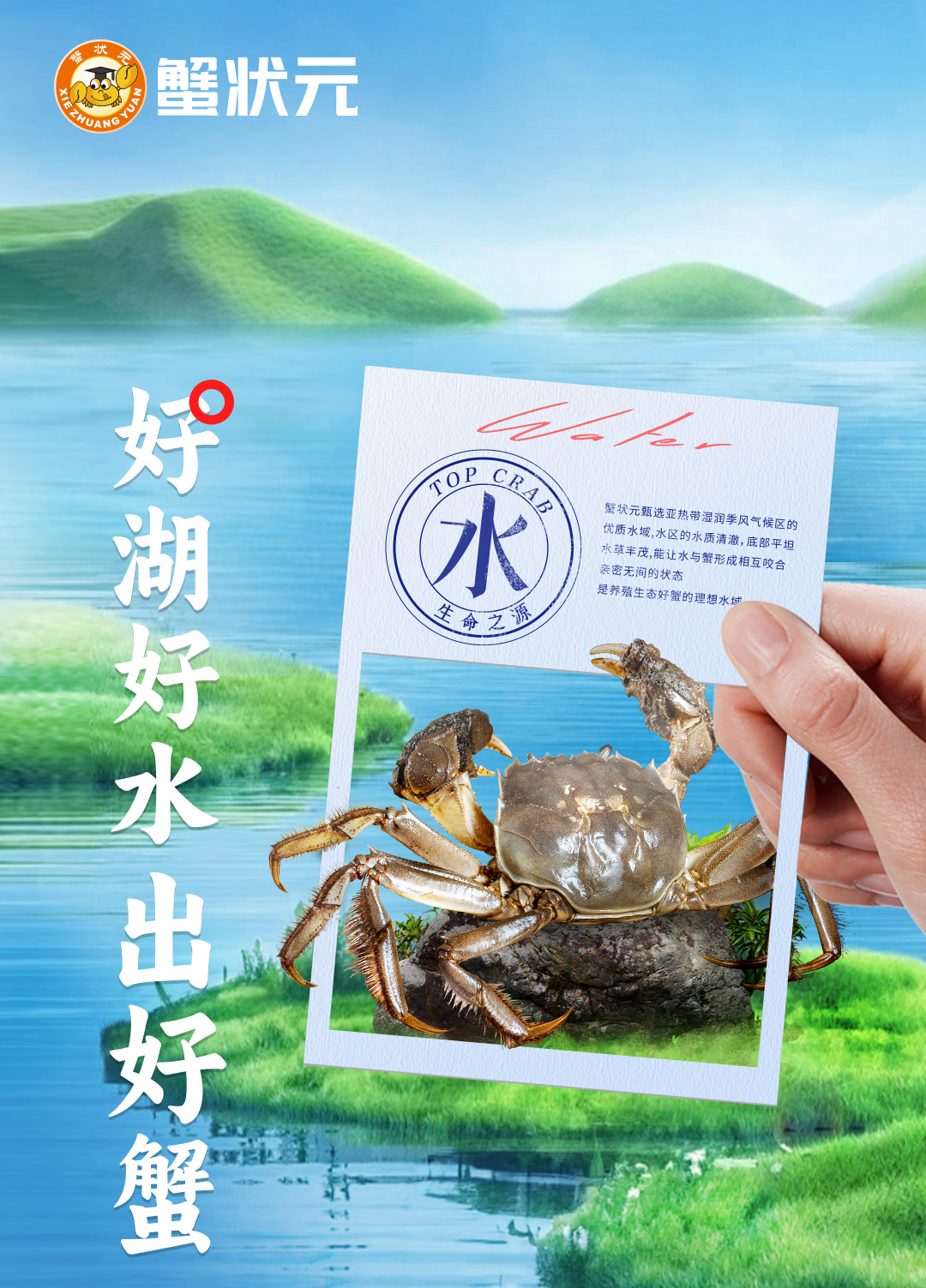 蟹状元大闸蟹自然水源20241114