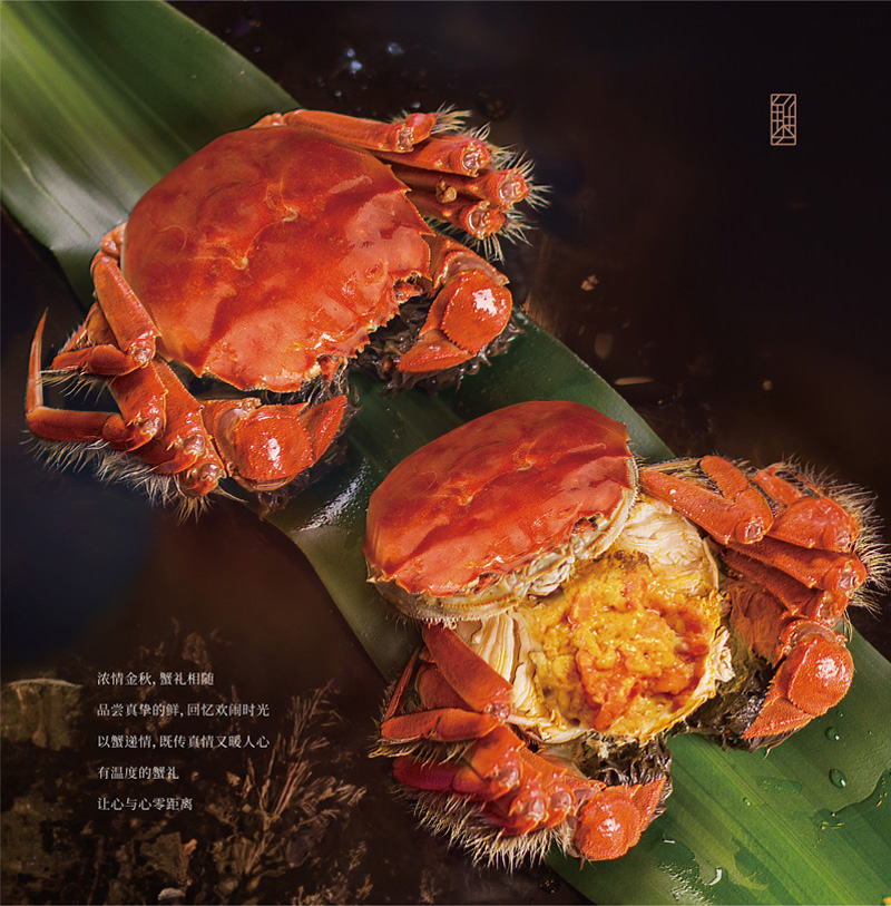 蟹状元大闸蟹美食202573006 蟹状元大闸蟹美食202573006