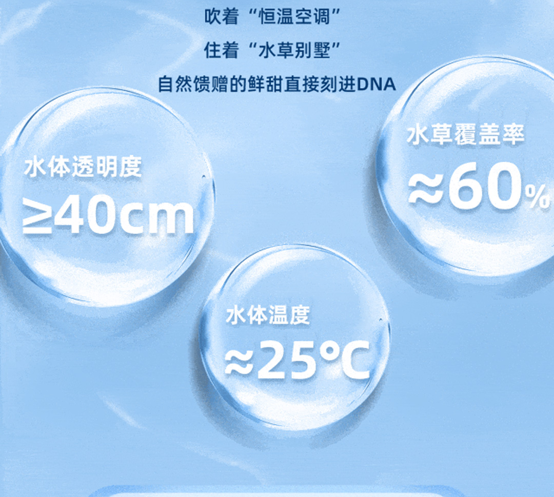 金秋送礼选蟹状元202572300333333