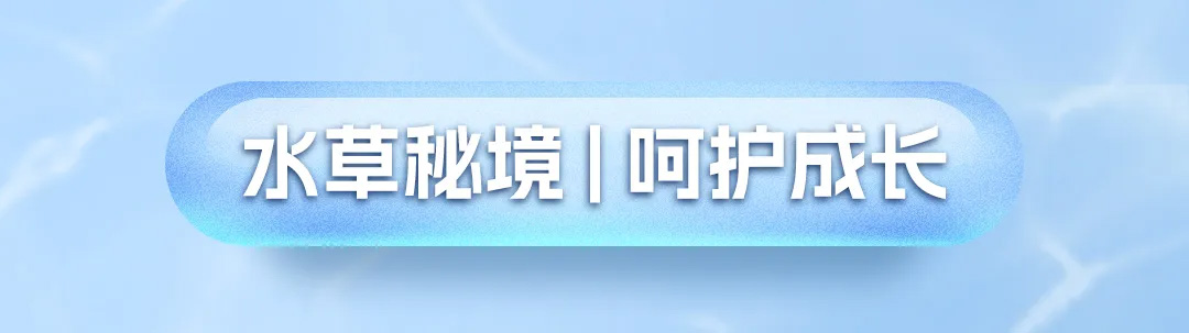 金秋送礼选蟹状元2025723005