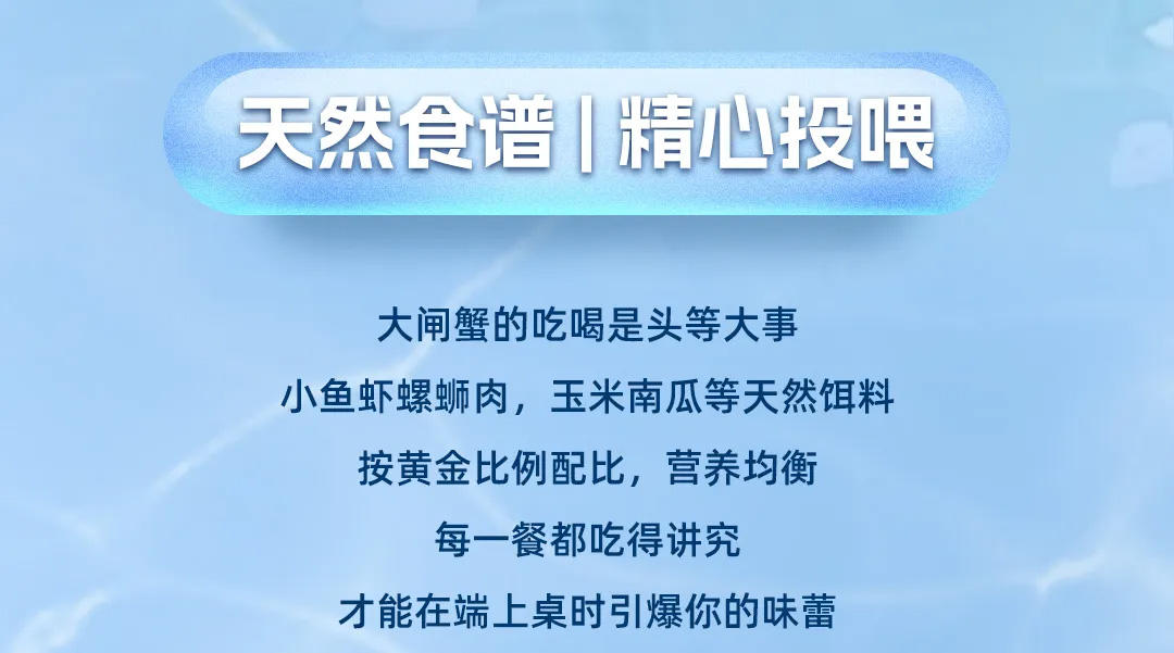 金秋送礼选蟹状元2025723006