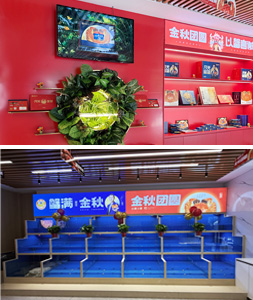 嘉兴南湖旗舰店25md03