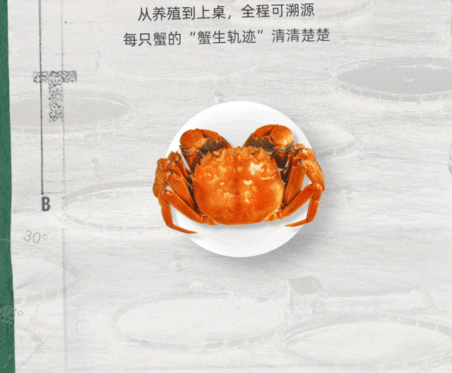 蟹状元西风客2594002