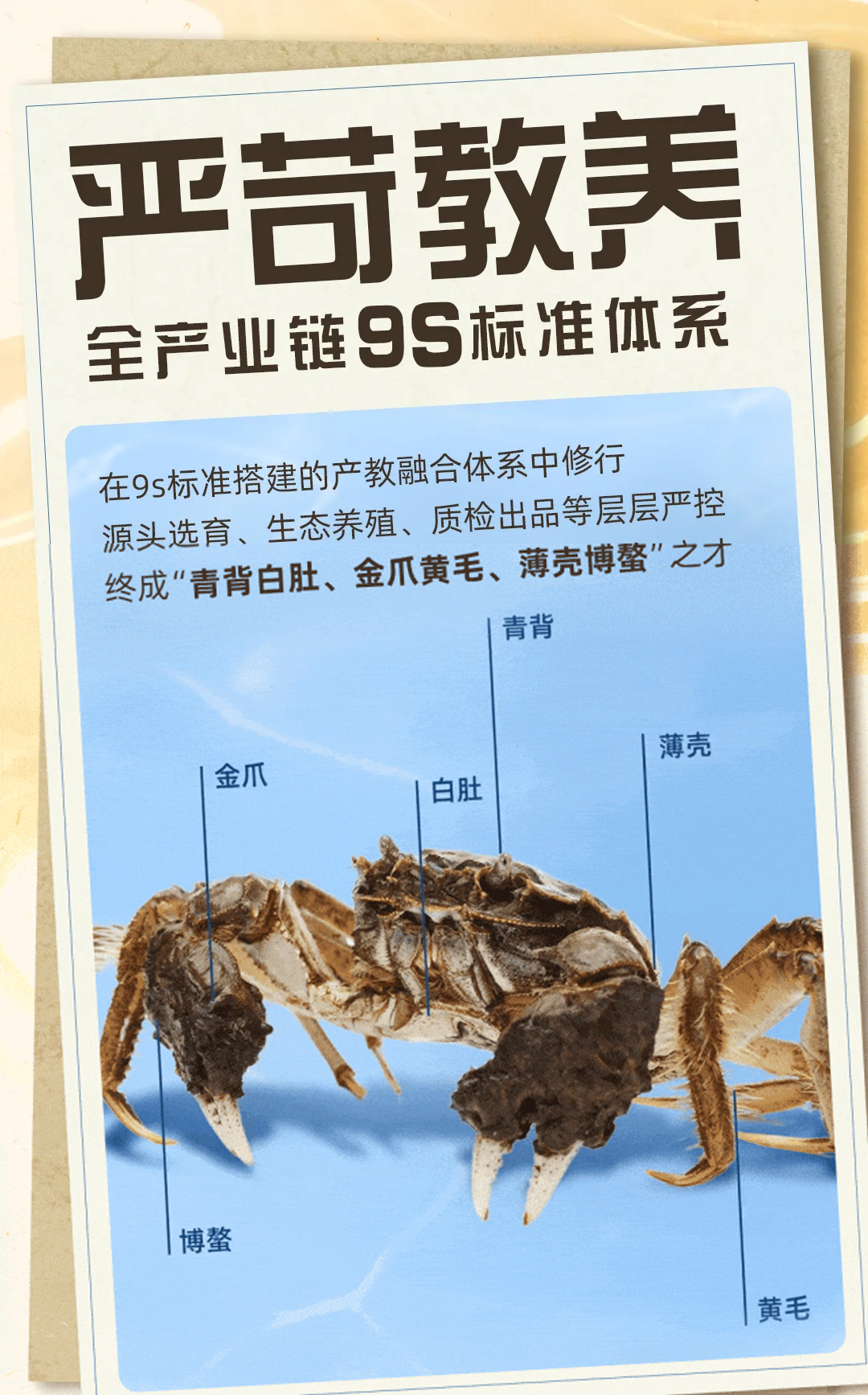 蟹状元2025教师节99005