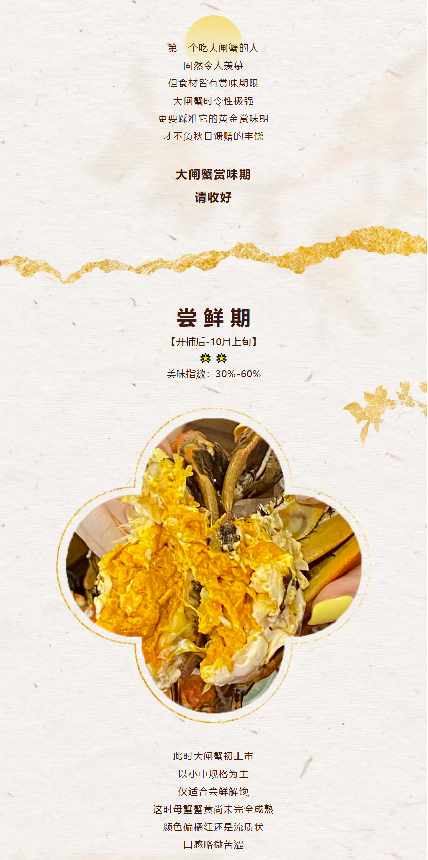 秋日大闸蟹美食259250002