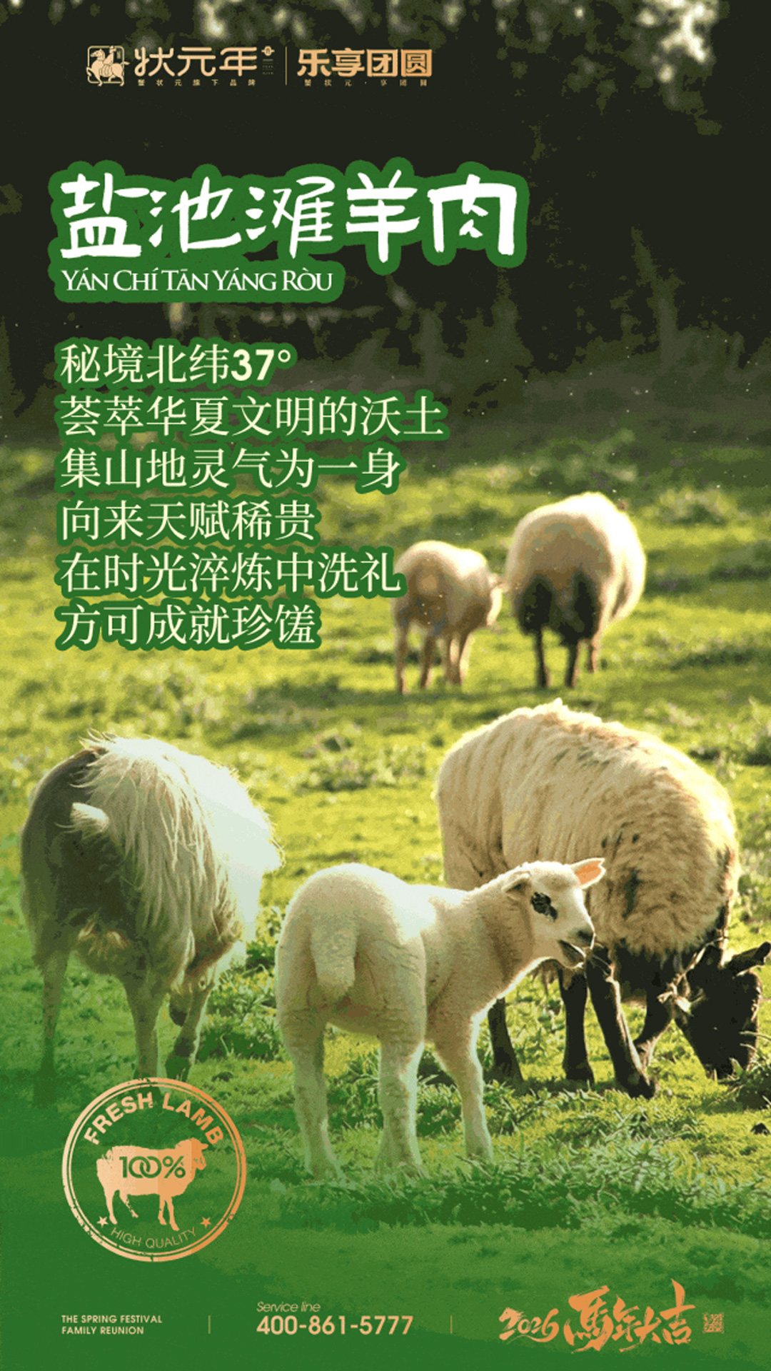 xzynh2617005