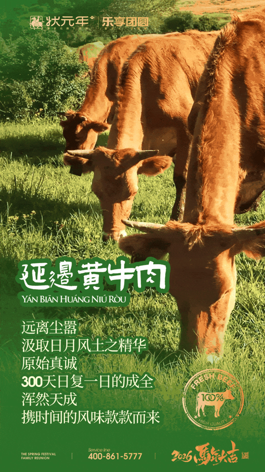 xzynh2617006