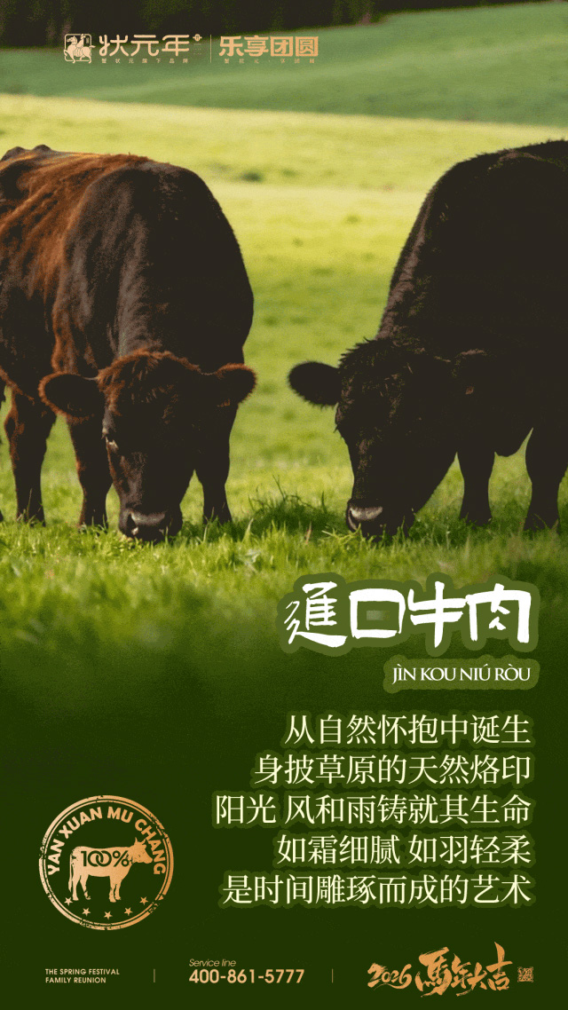 xzynh2617007