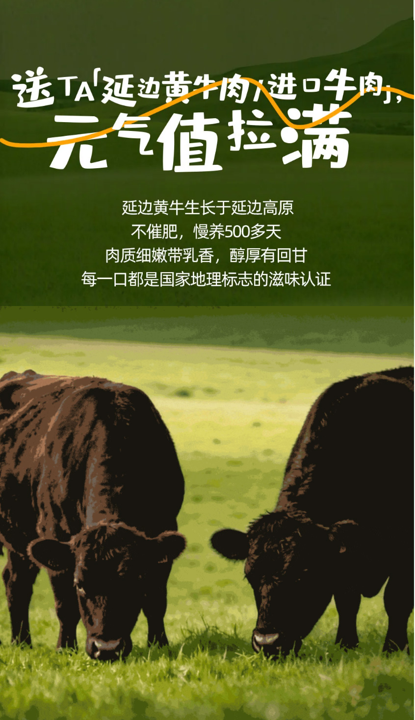 xzynh261280013