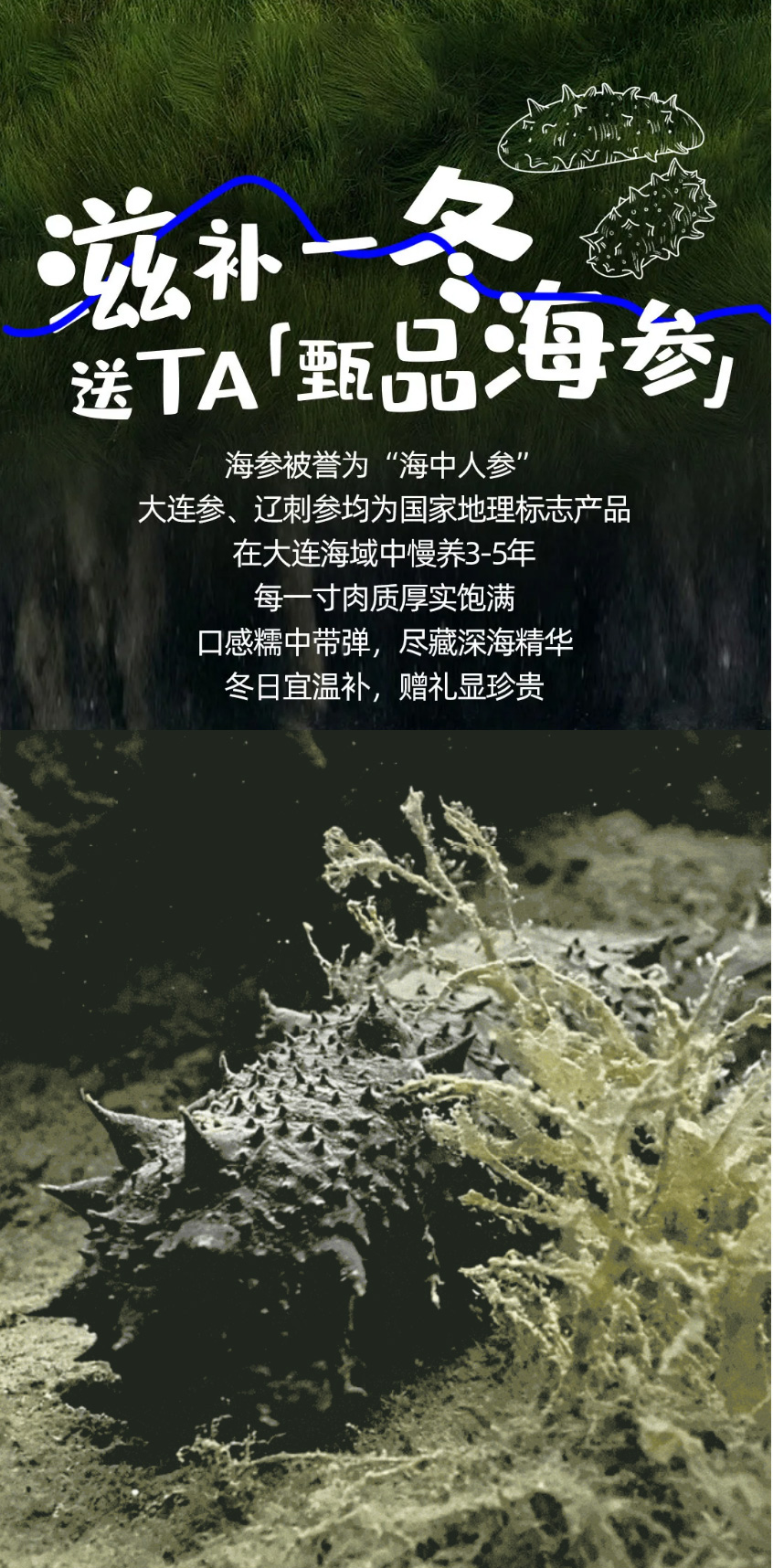 xzynh2612800151