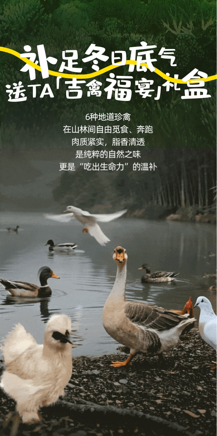 xzynh2612800161