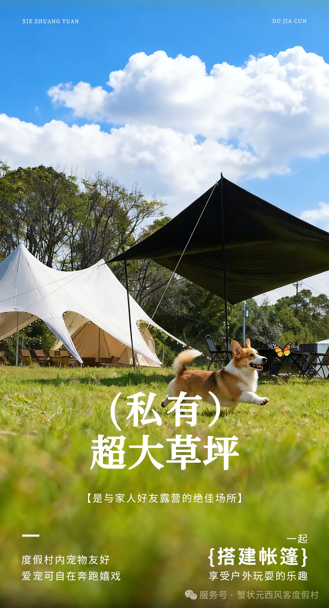 蟹状元西风客263402