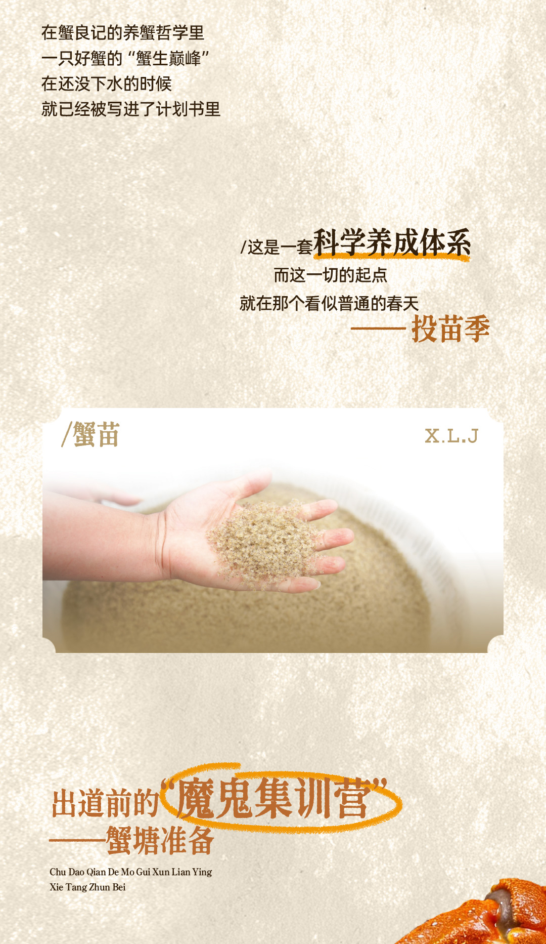大闸蟹的精英养成计划2649001