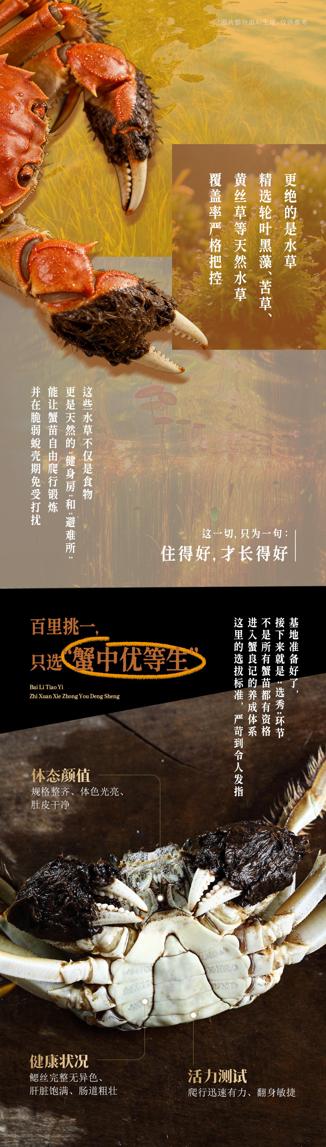 大闸蟹的精英养成计划2649003