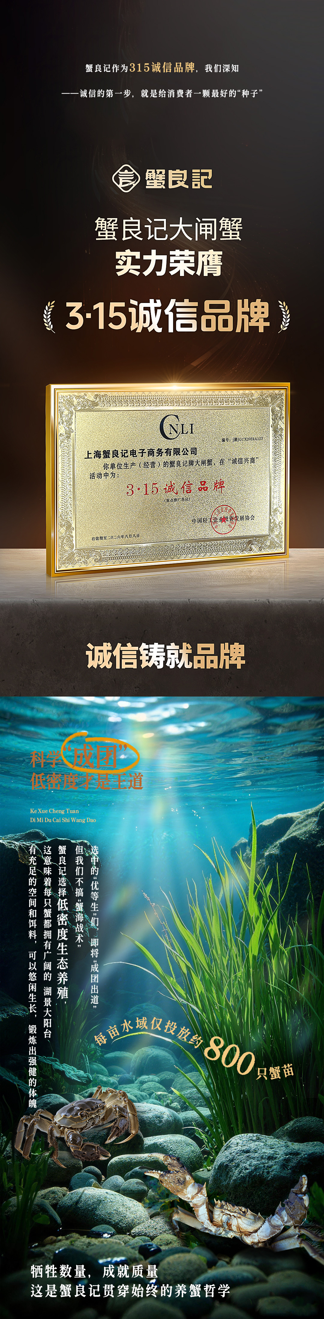 大闸蟹的精英养成计划2649004