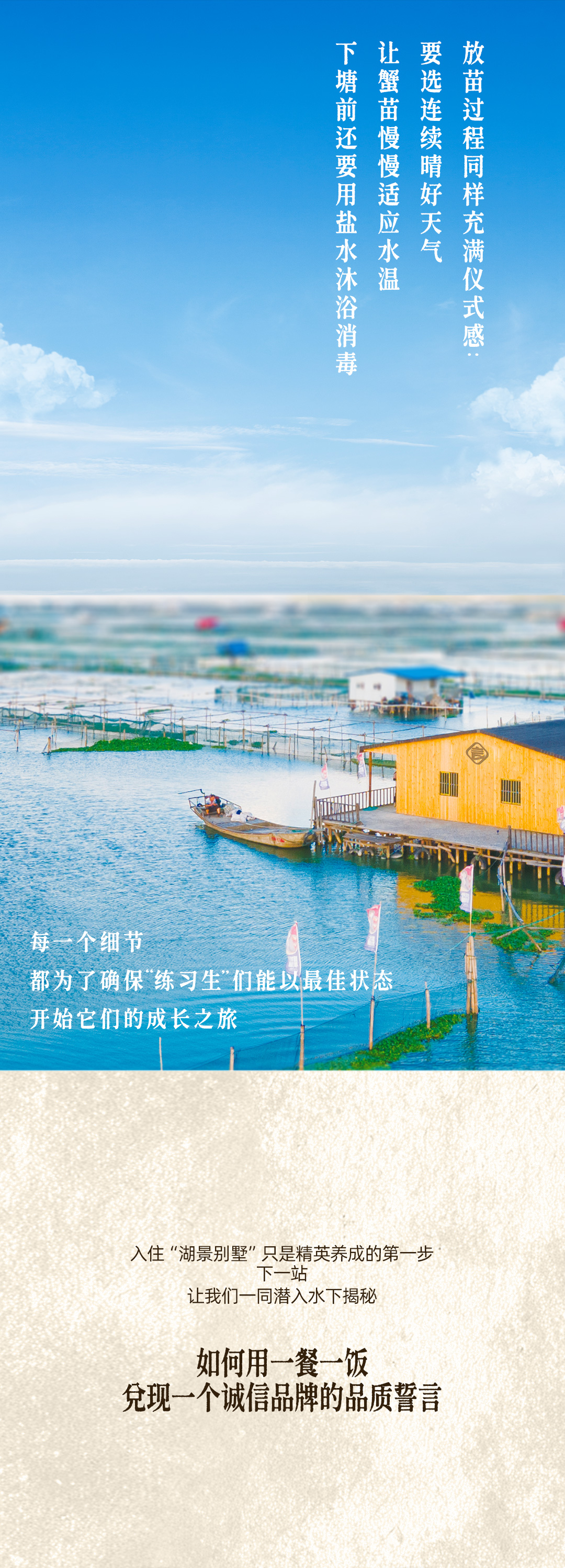 大闸蟹的精英养成计划2649005