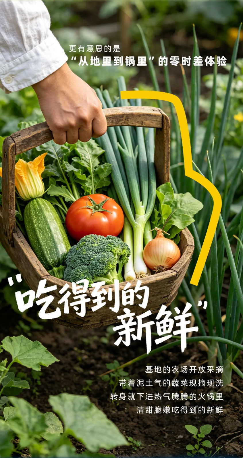 蟹状元西风客度假村2643007
