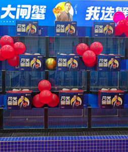唐山君瑞国际店26713002