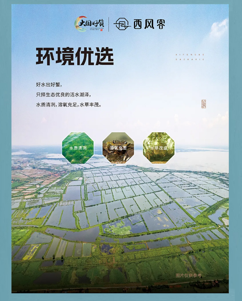 西风客大闸蟹2685204