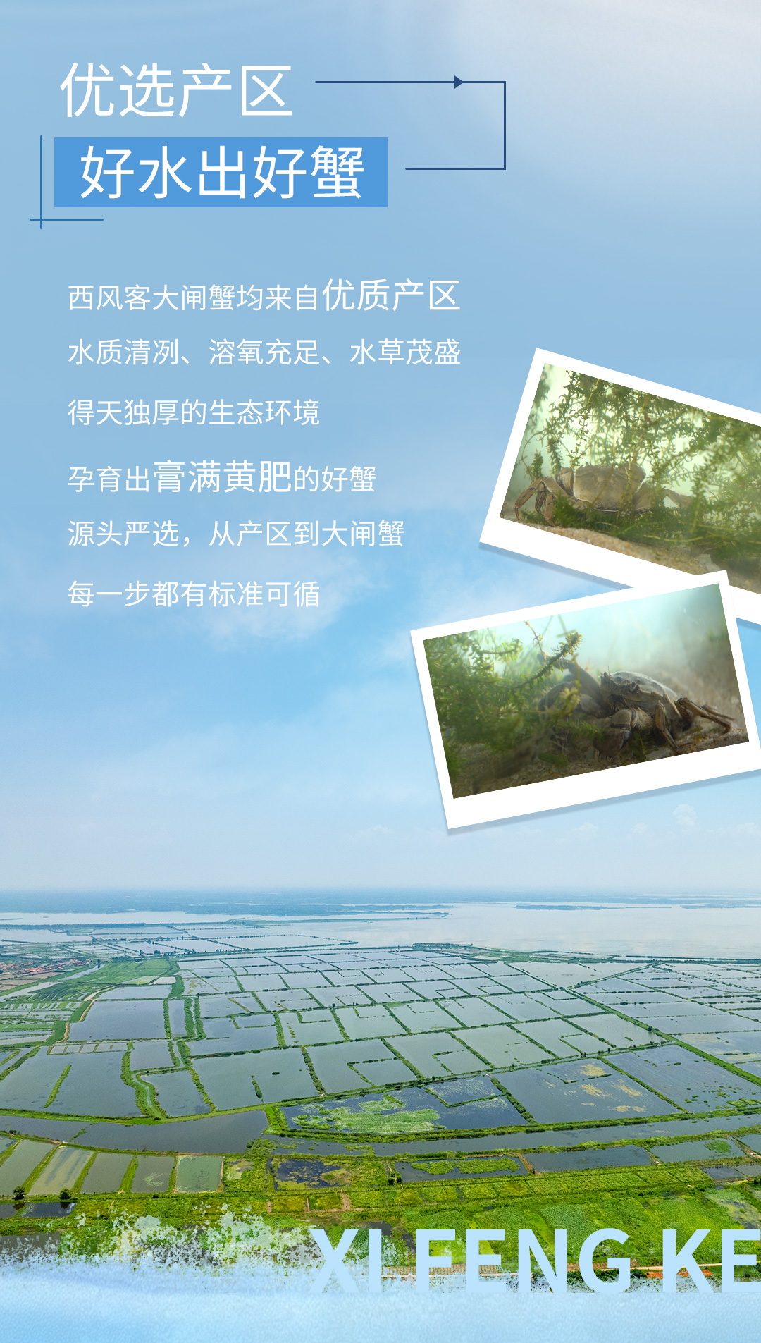西风客供应链体系26826002sm