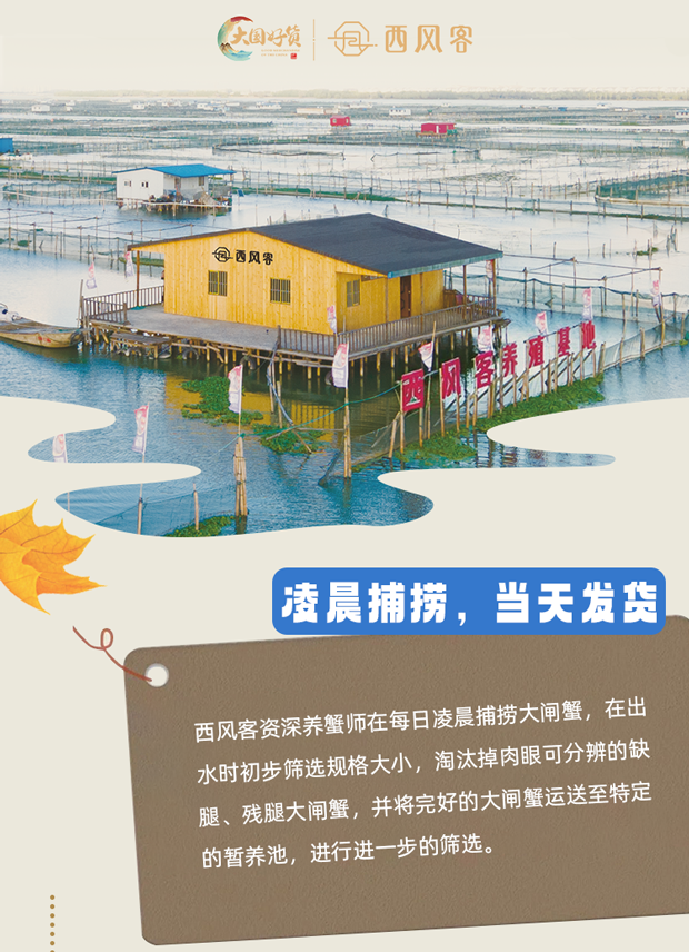 品质不说谎西风客的底气藏在每一个细节里001