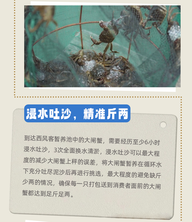 品质不说谎西风客的底气藏在每一个细节里002