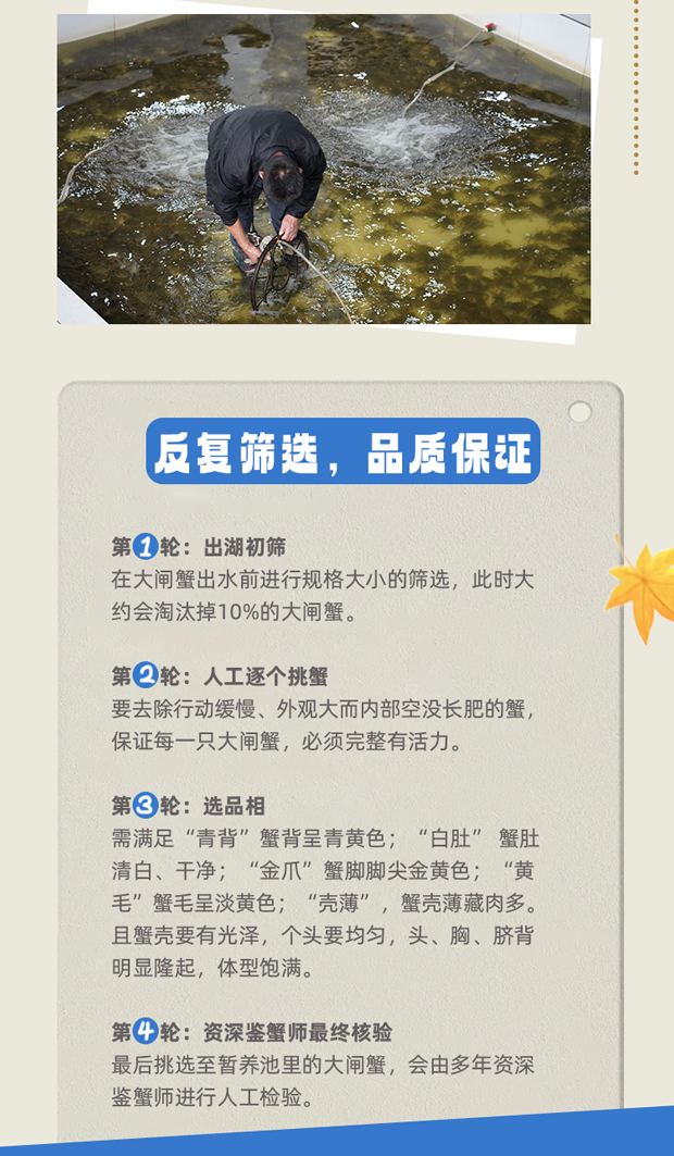 品质不说谎西风客的底气藏在每一个细节里003