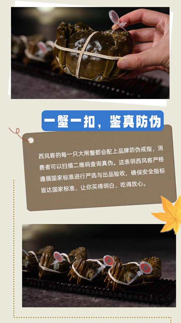 品质不说谎西风客的底气藏在每一个细节里005