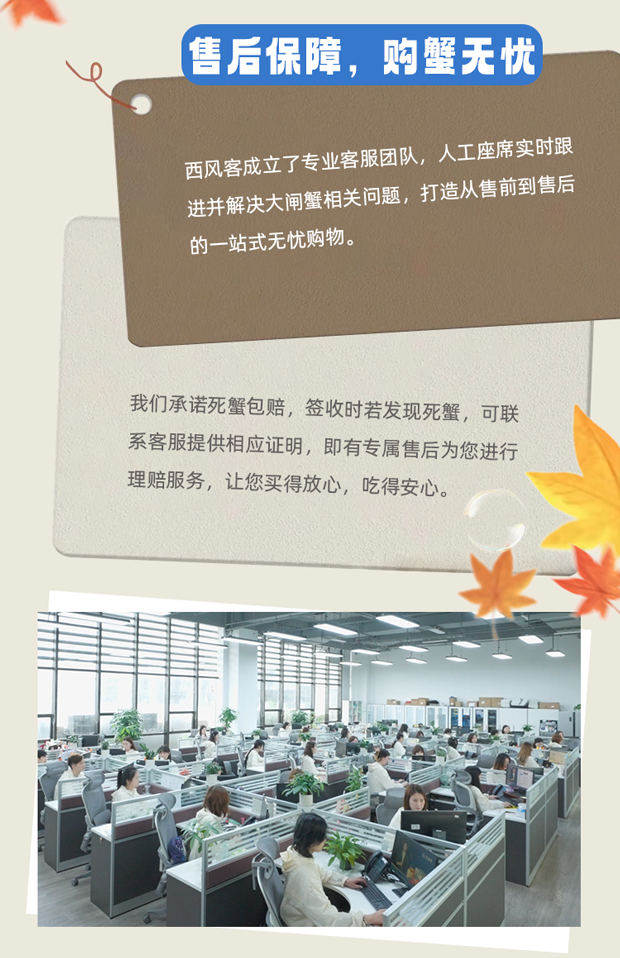 品质不说谎西风客的底气藏在每一个细节里007