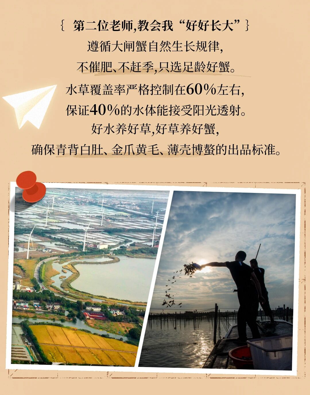 0dee0b95-4420-469e-8b1b-7f441c2e29dd