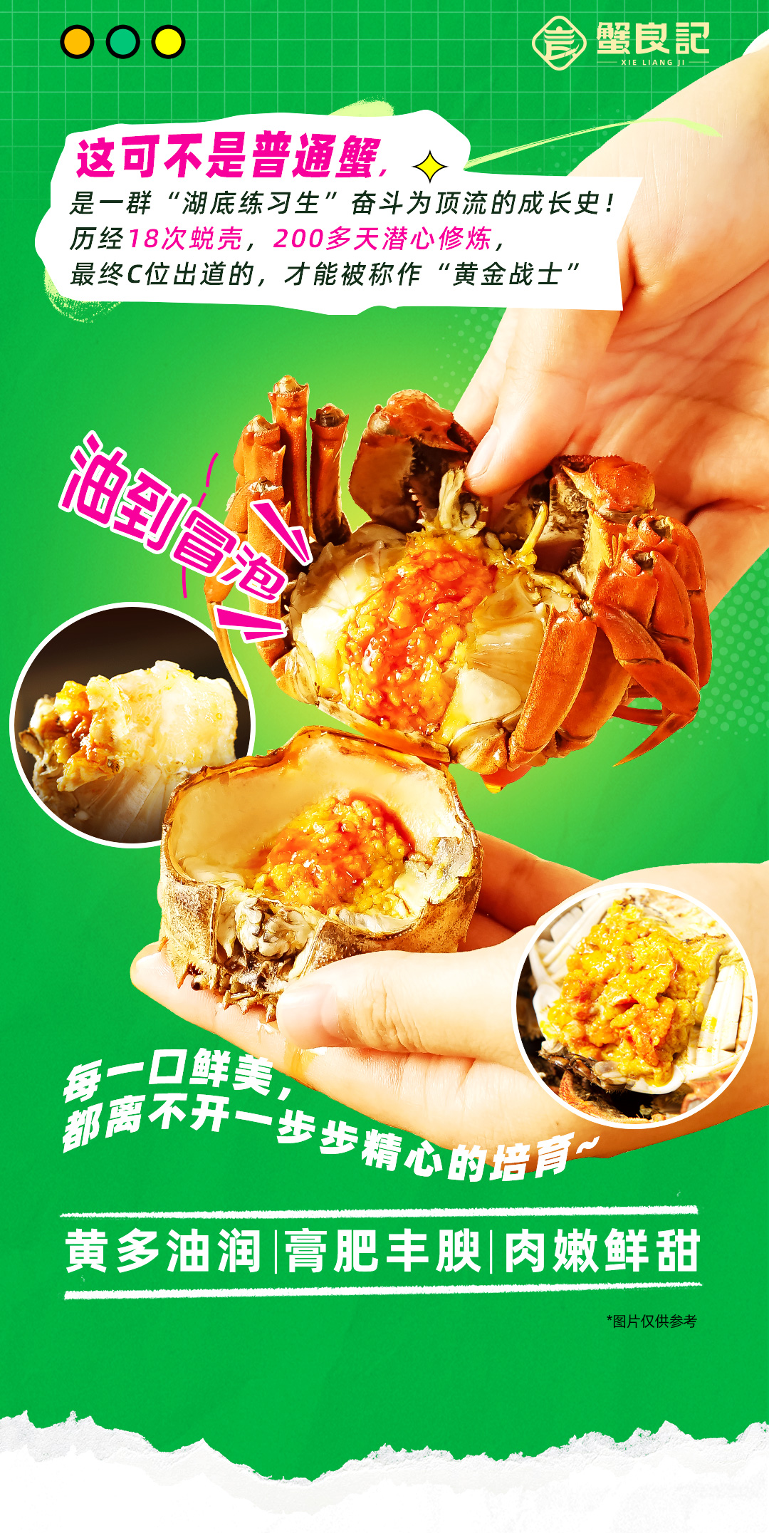 蟹良记大闸蟹2692301