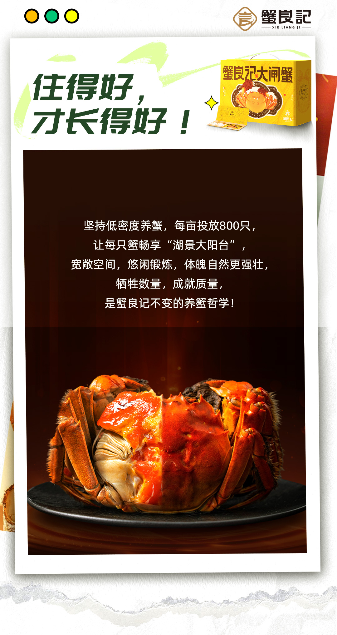 蟹良记大闸蟹2692302