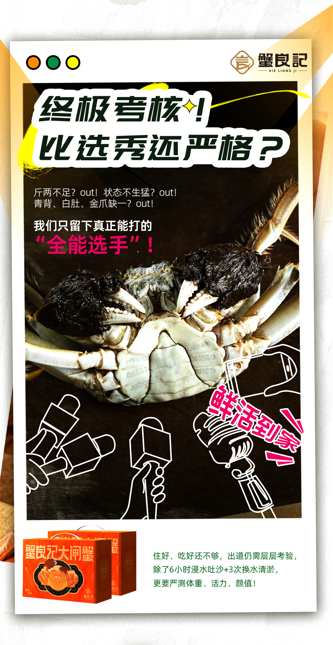 蟹良记大闸蟹2692304