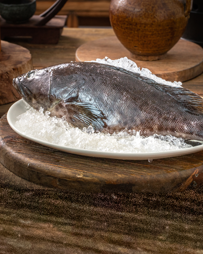 有“海中鲤鱼”之称，其肉质细嫩洁白，肥美鲜嫩，素为中外美食家们推崇，清蒸、红烧均是石斑鱼常用做法。