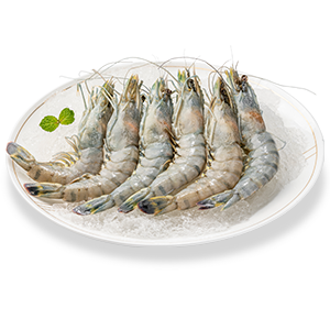 马来西亚黑虎虾