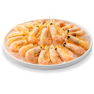 加拿大北方长额虾