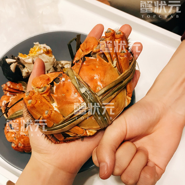 阳澄湖大闸蟹