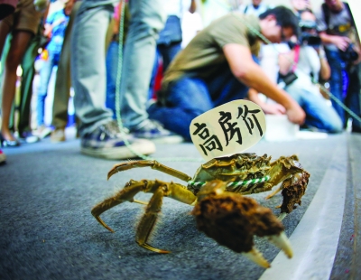 蟹状元:遛蟹哥