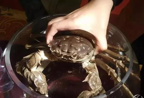 鄱阳湖大闸蟹蟹王