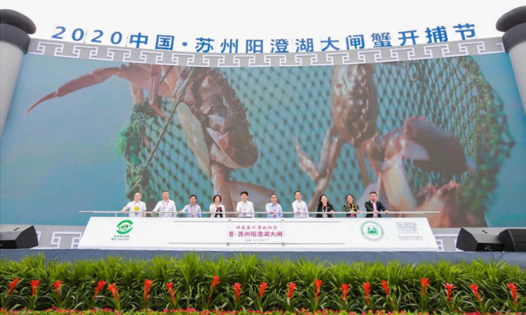 2020阳澄湖大闸蟹开湖捕捞